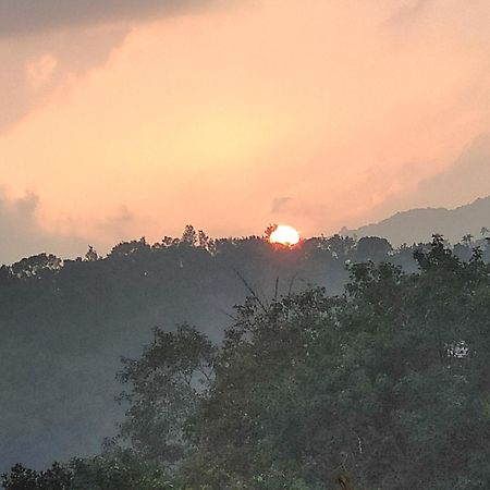 Soly'S Villa Homestay Munnar Εξωτερικό φωτογραφία