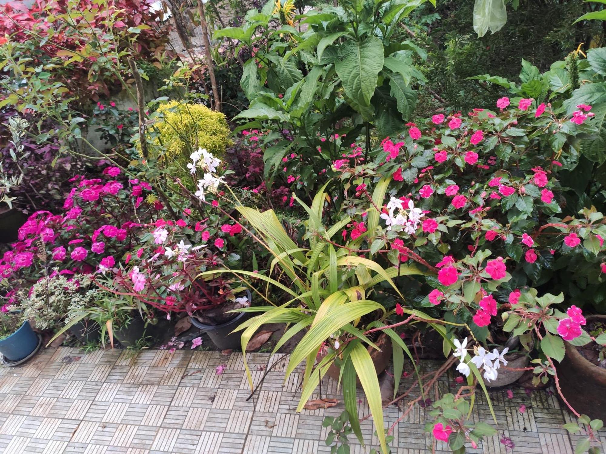 Soly'S Villa Homestay Munnar Εξωτερικό φωτογραφία